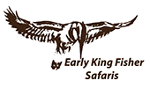 Early King Fisher Safaris