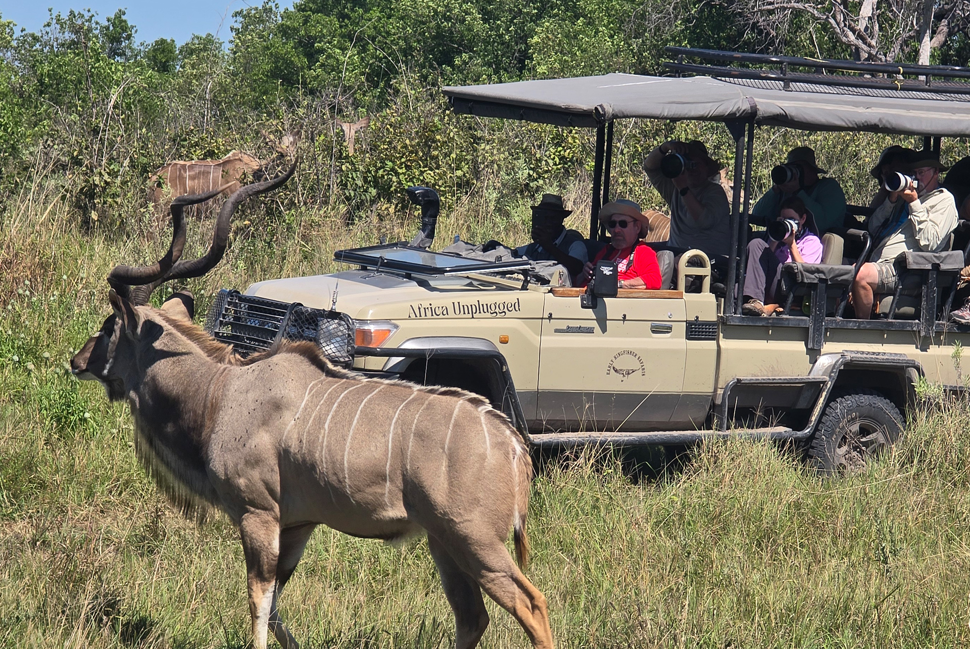 Okavango Delta Safari